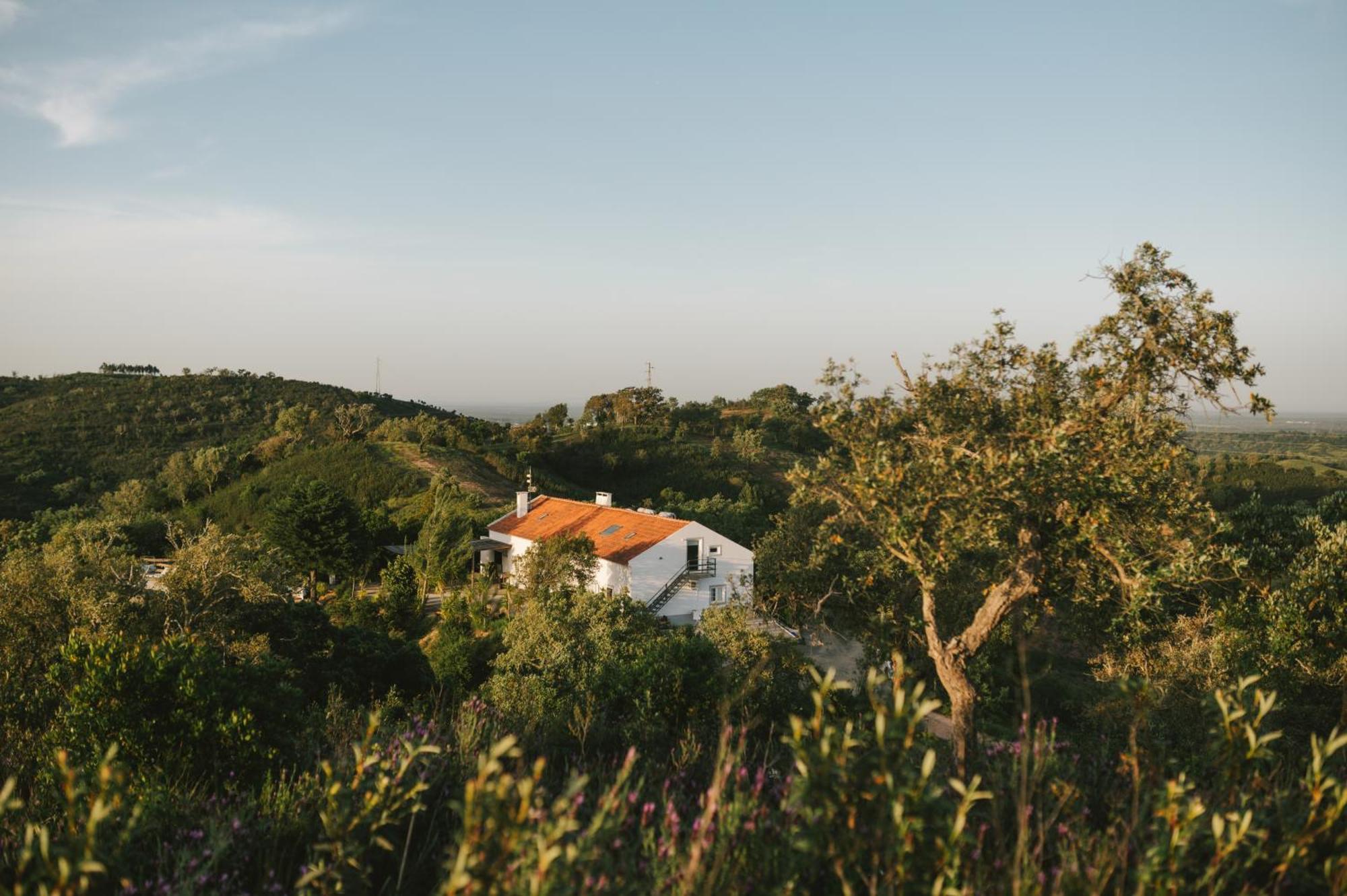 The One - Country House Grandola Ngoại thất bức ảnh